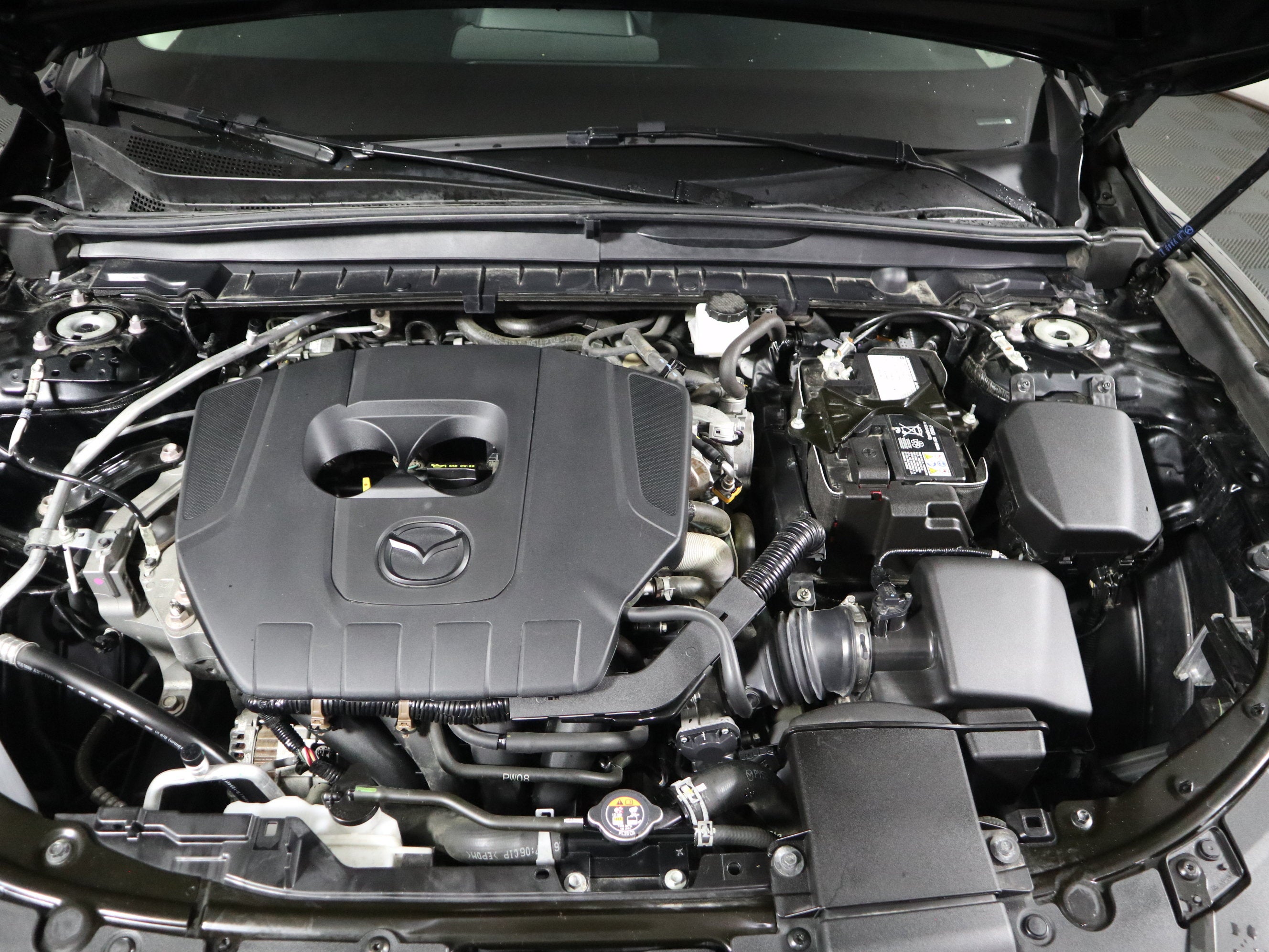 2025 Mazda Mazda CX-50 2.5 S Preferred Package